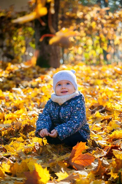 Smiling baby girl sitting in yellow leaves — Stock Photo, Image