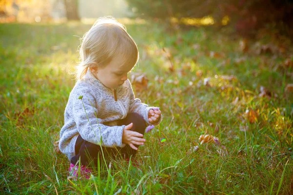 Chica recogiendo una flor en el parque de otoño —  Fotos de Stock