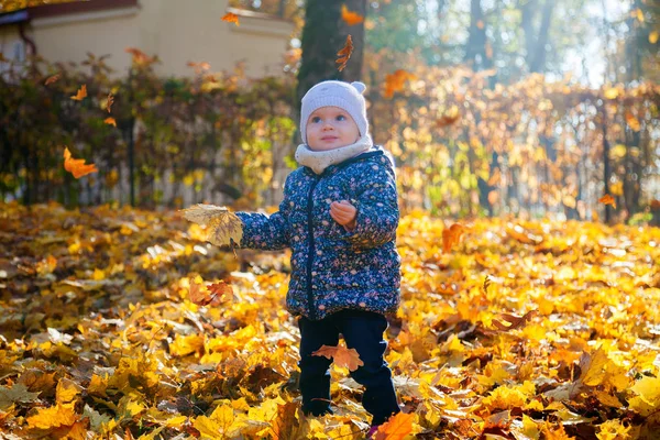 Sonbahar parkında sevimli bebek kız — Stok fotoğraf