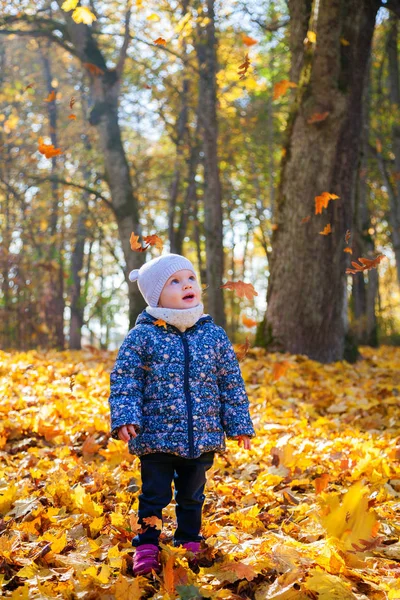Flicka tittar löv faller ner på henne — Stockfoto