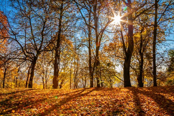 Vista de outono com sol brilhante — Fotografia de Stock