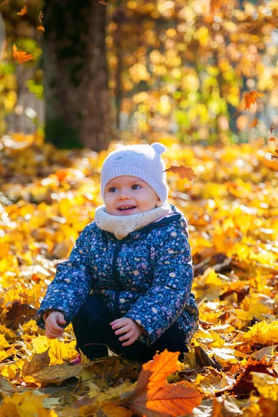 Bir arka plan üzerinde sarı yaprakları ile güzel bebek kız — Stok fotoğraf