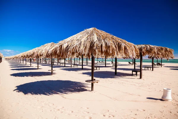 Leerer sauberer Strand mit Sonnenschirmen — Stockfoto