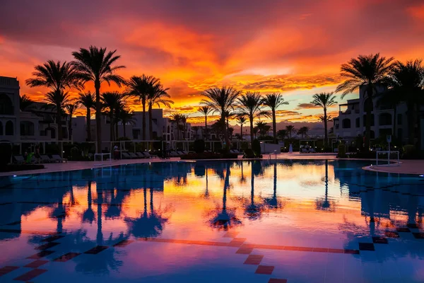 Solnedgång med palmer silhuetter — Stockfoto