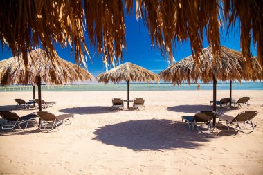 Mısır'da şezlong ve şemsiye ile plaj