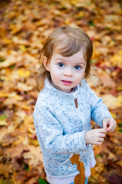 乾燥した黄色の葉を手にした愛らしい少女 彼女は秋の公園を歩いている — ストック写真
