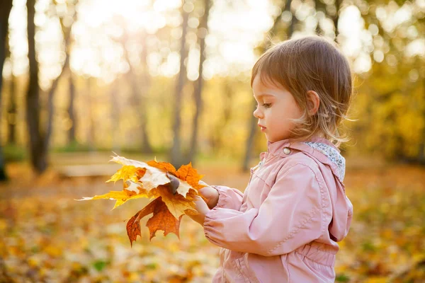 Serious Cute Little Girl Bunch Maple Leaves Autumn Park — Stock Photo, Image