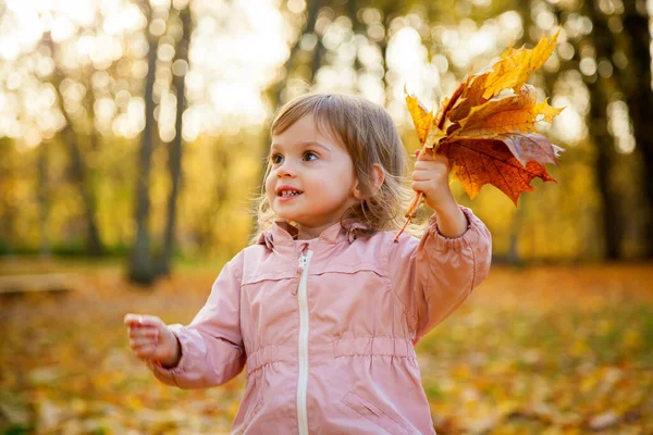 Porträt Eines Kleinen Mädchens Mit Ahornblättern Der Hand Herbstlichen Park — Stockfoto