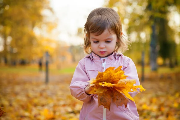 Petite Fille Avec Bouquet Feuilles Érable Dans Parc Automne — Photo