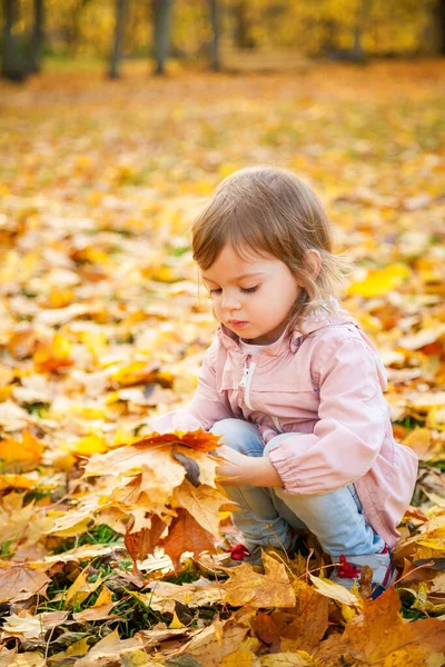 Portait Serious Little Girl Picking Maple Leaves Autumn Park — Stock Photo, Image