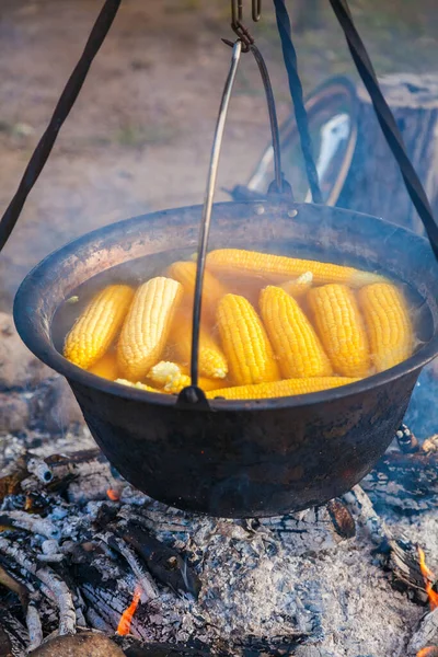 Cooking Camping Pot Corncobs Boiling Water Campfire Outdoor Fireplace Camping — Stock Photo, Image