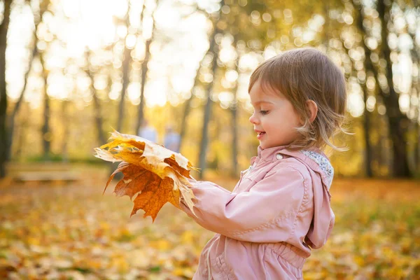 Sonbahar Parkında Bir Demet Akçaağaç Yaprağıyla Gülümseyen Tatlı Küçük Kız — Stok fotoğraf