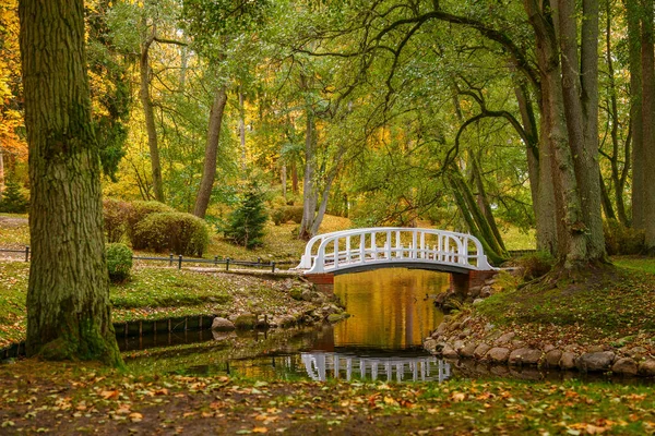 Ett Pittoreskt Höstlandskap Botaniska Parken Palanga Litauen Lugnt Vatten Dammen — Stockfoto