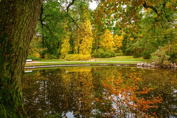 Beau Paysage Automne Dans Parc Botanique Palanga Lituanie Eau Tranquille — Photo