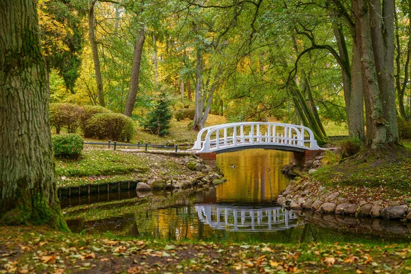 Vackert Höstlandskap Botaniska Parken Palanga Litauen Lugnt Vatten Dammen Vit — Stockfoto