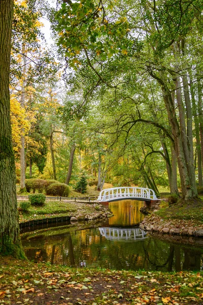 Vackert Höstlandskap Botaniska Parken Palanga Litauen Lugnt Vatten Dammen Vit — Stockfoto