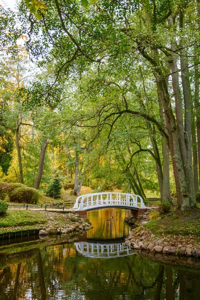 Vackert Höstlandskap Botaniska Parken Palanga Litauen Lugnt Vatten Dammen Vit — Stockfoto