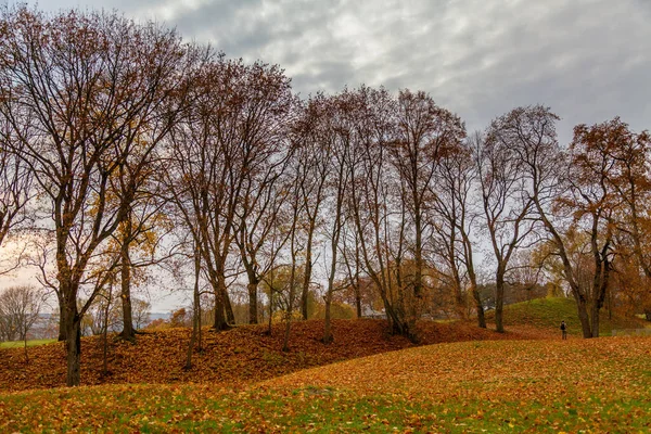 Άποψη Φθινόπωρο Σχεδόν Τολμηρά Δέντρα Και Θαμπό Σύννεφα Στον Ουρανό — Φωτογραφία Αρχείου