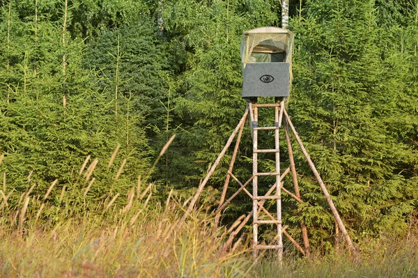 Деревянная Башня Заповеднике Наблюдения Поведением Лесного Жителя — стоковое фото