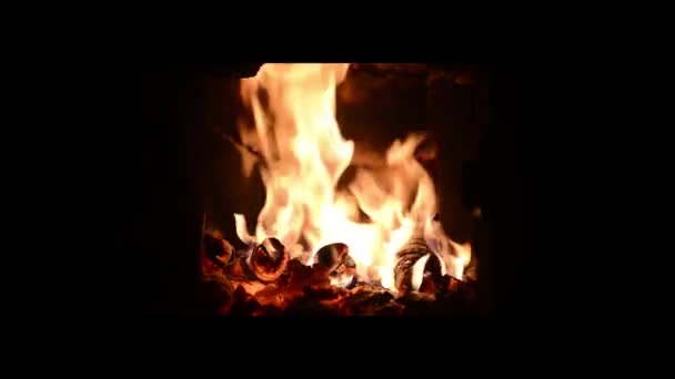 Charbons Chauds Bois Recouverts Flammes Dans Four — Video