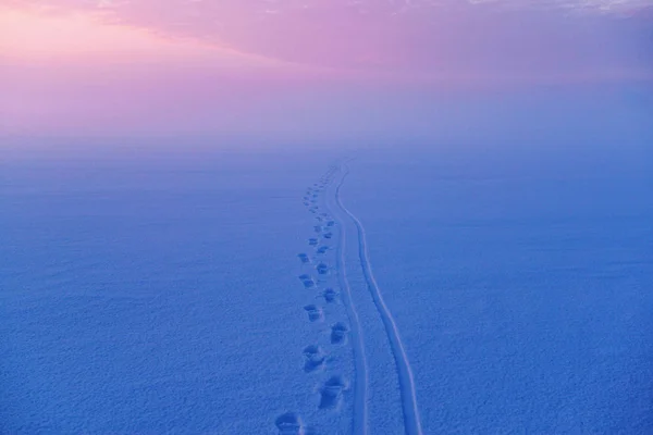 Kayaklar ve parlak gerçekleşen renklerde insan ayakları karda ayak izleri