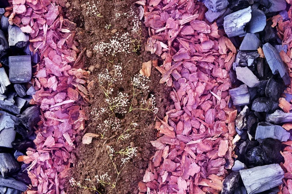 Kömür, torf ve renkli kabuk doğal malzemelerden ile bahçe dekorasyon.