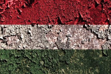 Eski grunge Macaristan arka plan bayrak