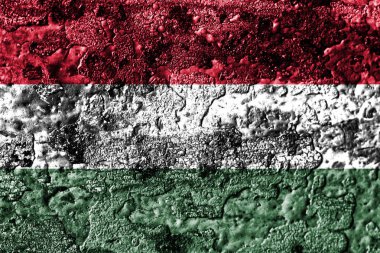 Macaristan grunge paslı metal doku bayrak, pas metal arka plan