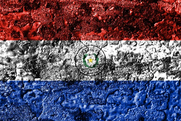 Парагвайский Гранж Ржавый Металлический Текстурный Флаг Ржавый Металлический Фон — стоковое фото
