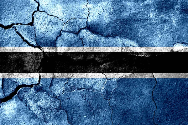 Botswana Zrezivělý Textury Pozadí Vlajky Rezavý — Stock fotografie