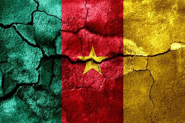 Kamerun Zrezivělý Textury Pozadí Vlajky Rezavý — Stock fotografie