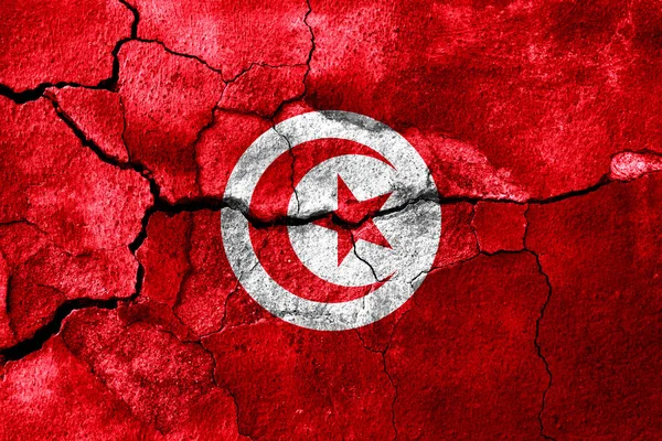 Tunus Paslı Doku Bayrak Paslı Arka Plan — Stok fotoğraf