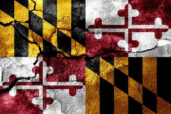 Bandiera Del Fumo Dello Stato Del Maryland Stati Uniti America — Foto Stock