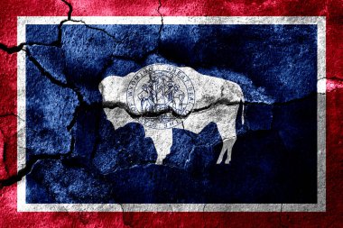 Wyoming eyaleti duman bayrağı, Amerika Birleşik Devletleri