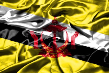 rüzgarda sallayarak brunei bayrağı