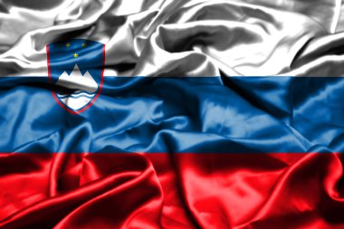 rüzgarda sallayarak Slovenya bayrağı