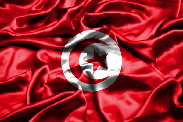 Tunus Bayrağı Rüzgarda Dalgalanıyor — Stok fotoğraf
