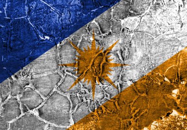 Tocantins grunge bayrak, Brezilya devlet