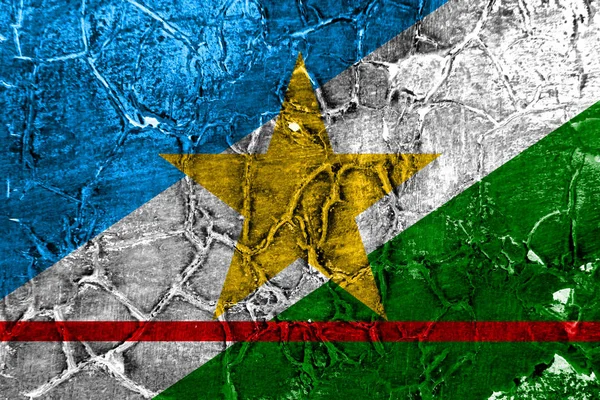Roraima Grunge Vlag Staat Van Brazilië — Stockfoto