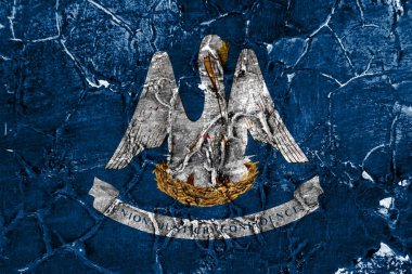 Louisiana devlet grunge bayrağı, Amerika Birleşik Devletleri