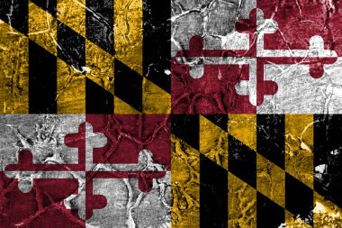 Maryland devlet grunge bayrağı, Amerika Birleşik Devletleri