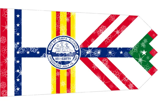 Tampa, Florida winter snowflakes flag background. United States of America