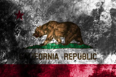 California devlet grunge bayrağı, Amerika Birleşik Devletleri