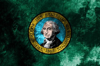 Washington Devlet grunge bayrağı, Amerika Birleşik Devletleri