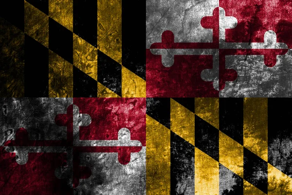 Maryland State Grunge Flag États Unis Amérique — Photo