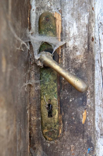 Old vintage door handle on wooden door cover with cobweb.