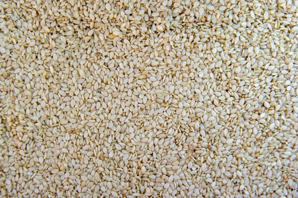 Сырые семена кунжута фон — стоковое фото
