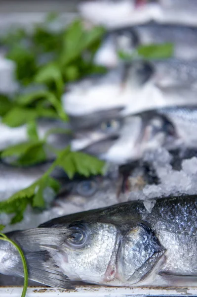 Fresh fish in the market, Sea fish pile top view — стоковое фото