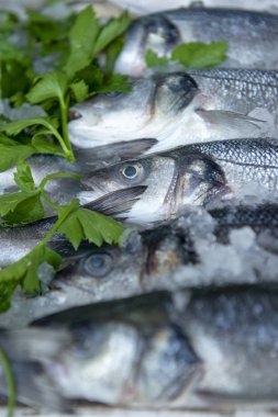 Piyasada taze balık, deniz balığı yığını üst görünümü