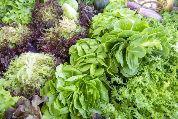 从农贸市场选择绿色和新鲜蔬菜 — 图库照片